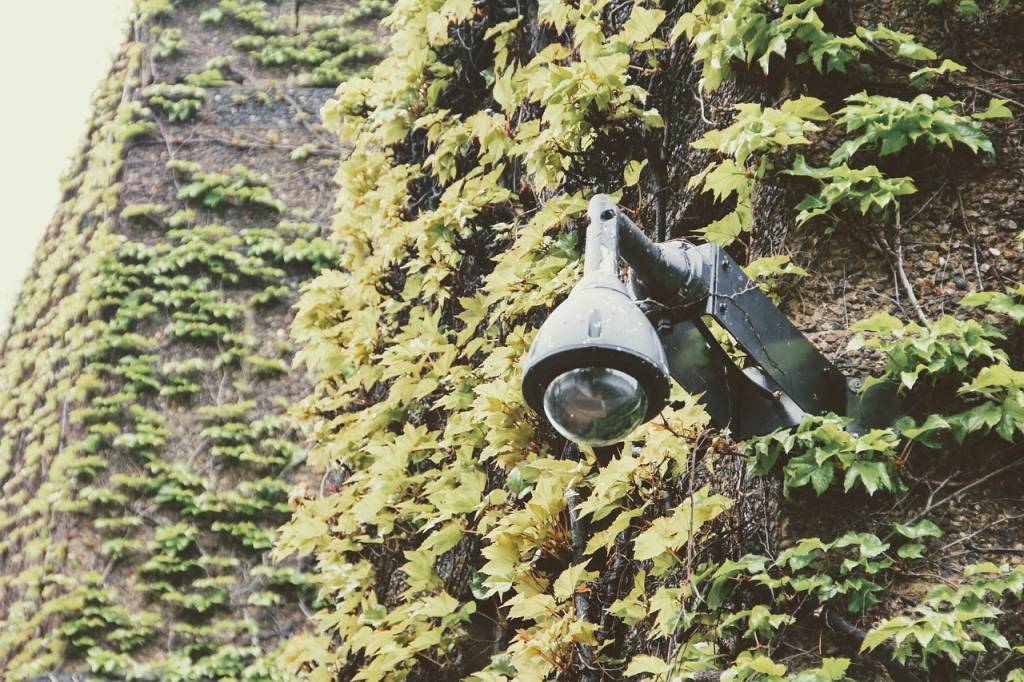 Les erreurs à éviter lors du choix d’une société de télésurveillance